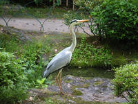 s-DSCN2836.jpg