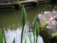 s-DSCN2844.jpg
