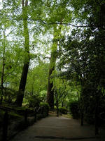 s-DSCN2853.jpg