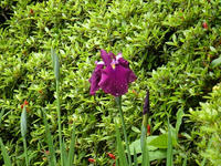 s-DSCN2856.jpg