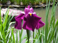 s-DSCN2858.jpg