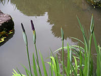 s-DSCN2859.jpg
