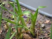 s-DSCN2860.jpg