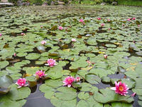 s-DSCN2867.jpg