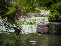 s-DSCN2869.jpg