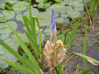 s-DSCN2876.jpg