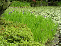 s-DSCN2877.jpg