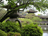 s-DSCN2883.jpg