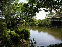 s-DSCN2897.jpg