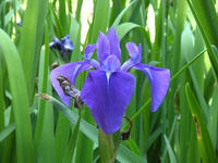 s-DSCN2911.jpg