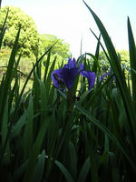 s-DSCN2914.jpg
