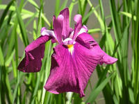 s-DSCN2929.jpg
