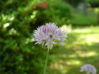 s-DSCN2935.jpg