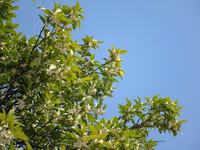 s-DSCN2942.jpg