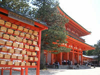 s-DSCN2950.jpg