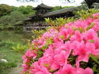 s-DSCN3082.jpg