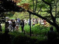 s-DSCN3095.jpg