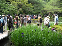 s-DSCN3096.jpg