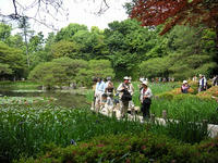 s-DSCN3097.jpg