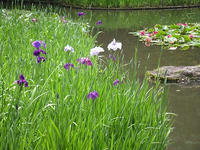 s-DSCN3102.jpg