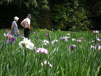 s-DSCN3111.jpg