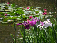 s-DSCN3114.jpg