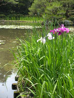 s-DSCN3116.jpg