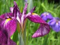 s-DSCN3119.jpg