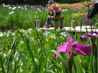 s-DSCN3124.jpg