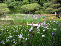 s-DSCN3136.jpg