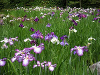s-DSCN3144.jpg