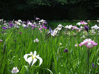 s-DSCN3147.jpg