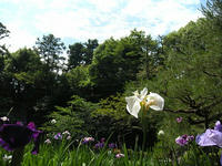 s-DSCN3150.jpg