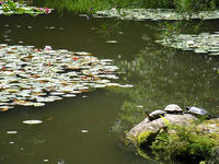 s-DSCN3153.jpg