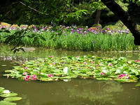 s-DSCN3161.jpg