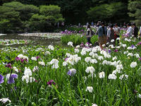s-DSCN3164.jpg
