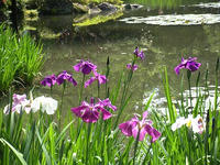 s-DSCN3166.jpg