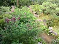 s-DSCN3176.jpg