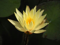 s-DSCN3207.jpg