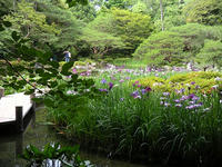 s-DSCN3218.jpg