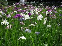s-DSCN3231.jpg