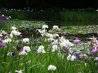 s-DSCN3233.jpg