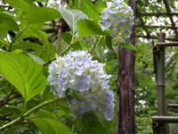 s-DSCN3235.jpg