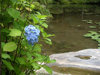 s-DSCN3237.jpg