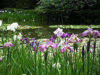 s-DSCN3245.jpg