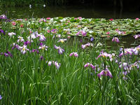 s-DSCN3247.jpg