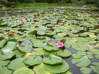 s-DSCN3249.jpg
