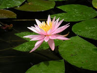 s-DSCN3251.jpg