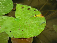 s-DSCN3252.jpg