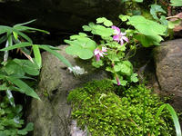 s-DSCN3254.jpg